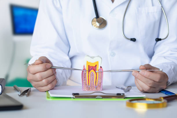 Best Broken or Cracked Tooth Emergency Dentist in Bradfordville, FL